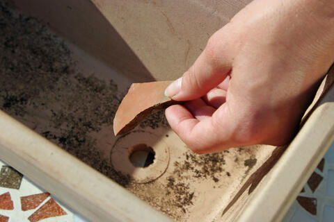 Cover the drainage hole with pottery shards