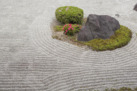 Zen garden with gravel, stones, and plants