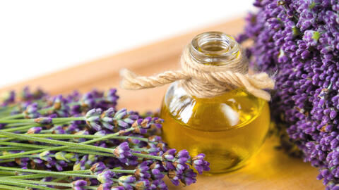 Lavender oil