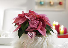 Pink Christmas flower flokati decoration